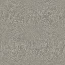 taupe-6016