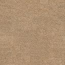 buvol-beige